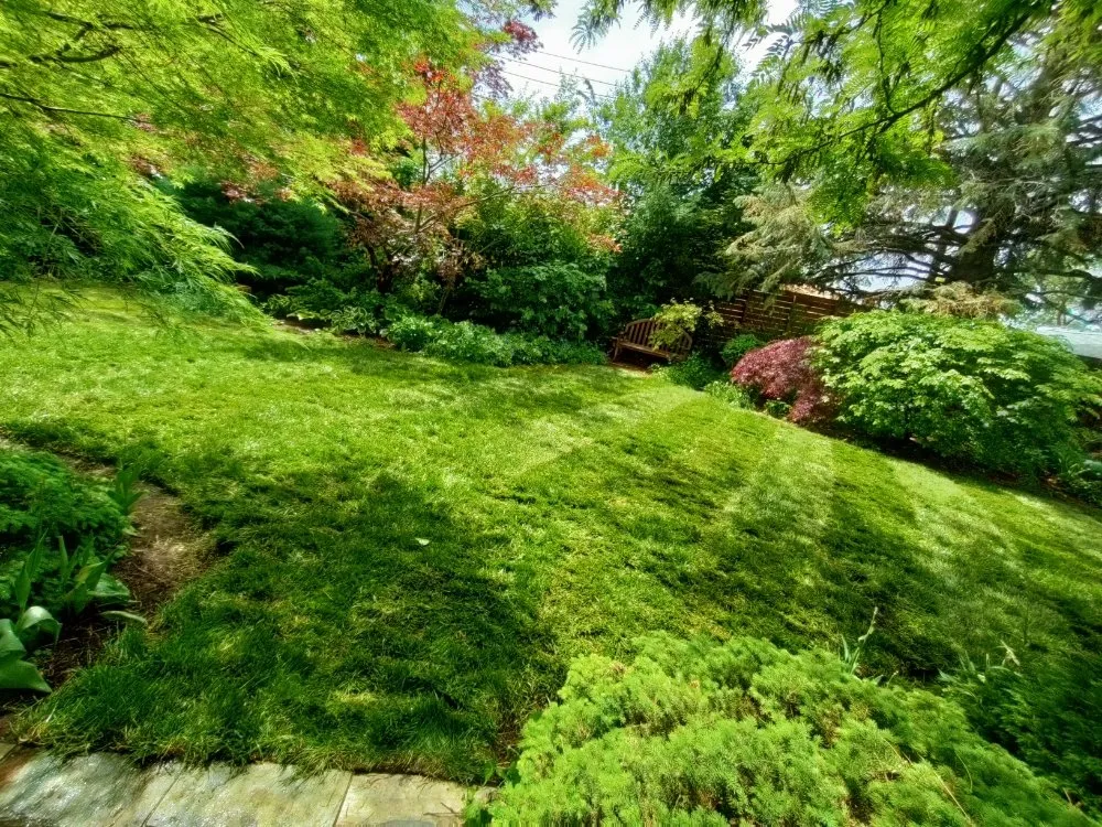 Expert yard maintenance for outdoor upgrades in Bluffdale, UT by Sustainable Landscaping