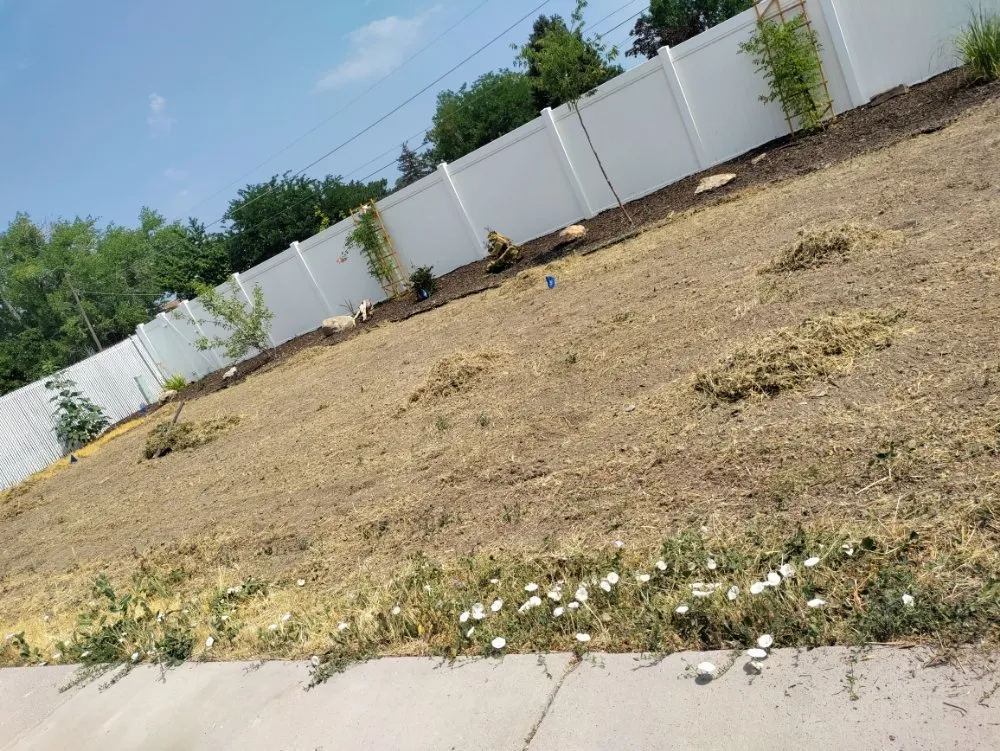 Expert residential landscaping in Bluffdale, UT by Sustainable Landscaping