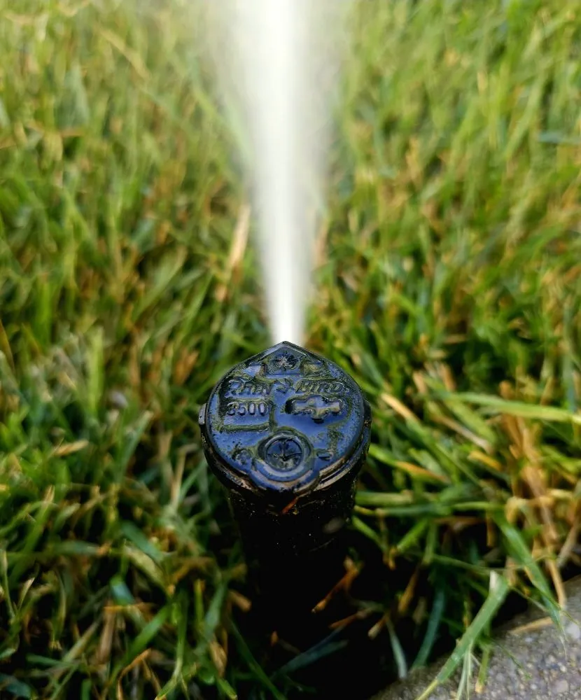 Local landscape design in Bluffdale, UT - Sustainable Landscaping