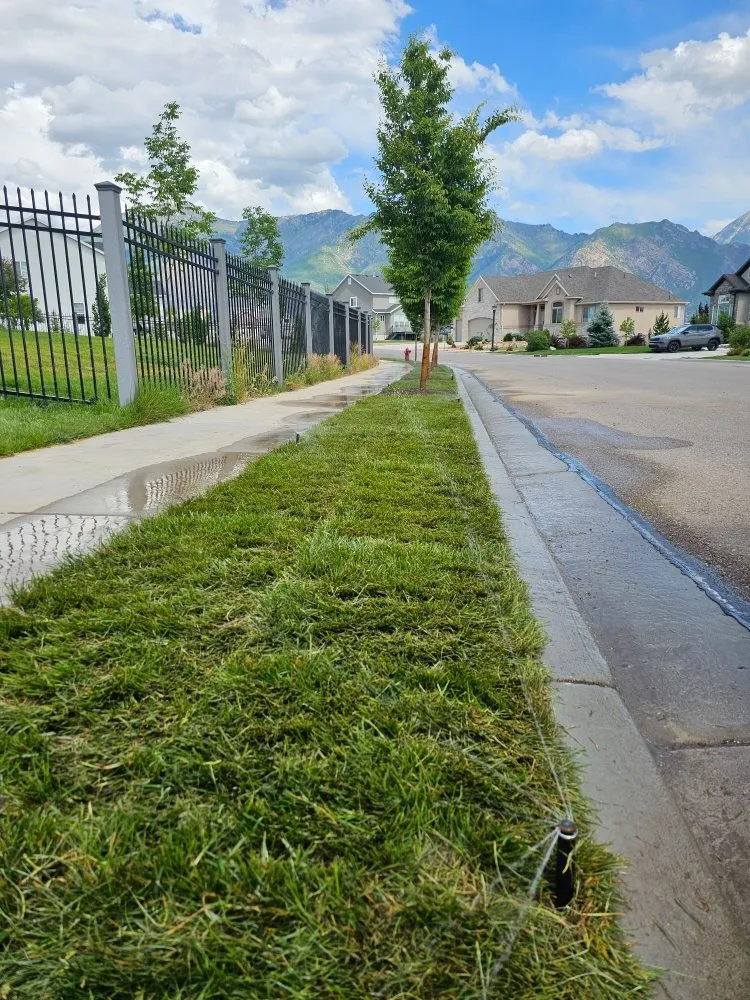 Affordable lawn care service experts serving Bluffdale, UT - Sustainable Landscaping