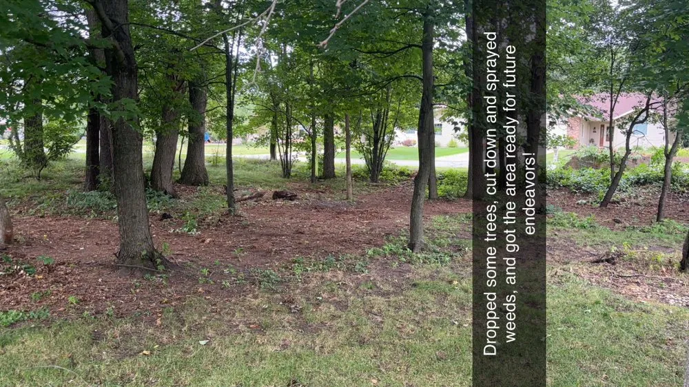 Professional lawn mowing service with custom design across Plover, WI - Sustainable Lawn Services