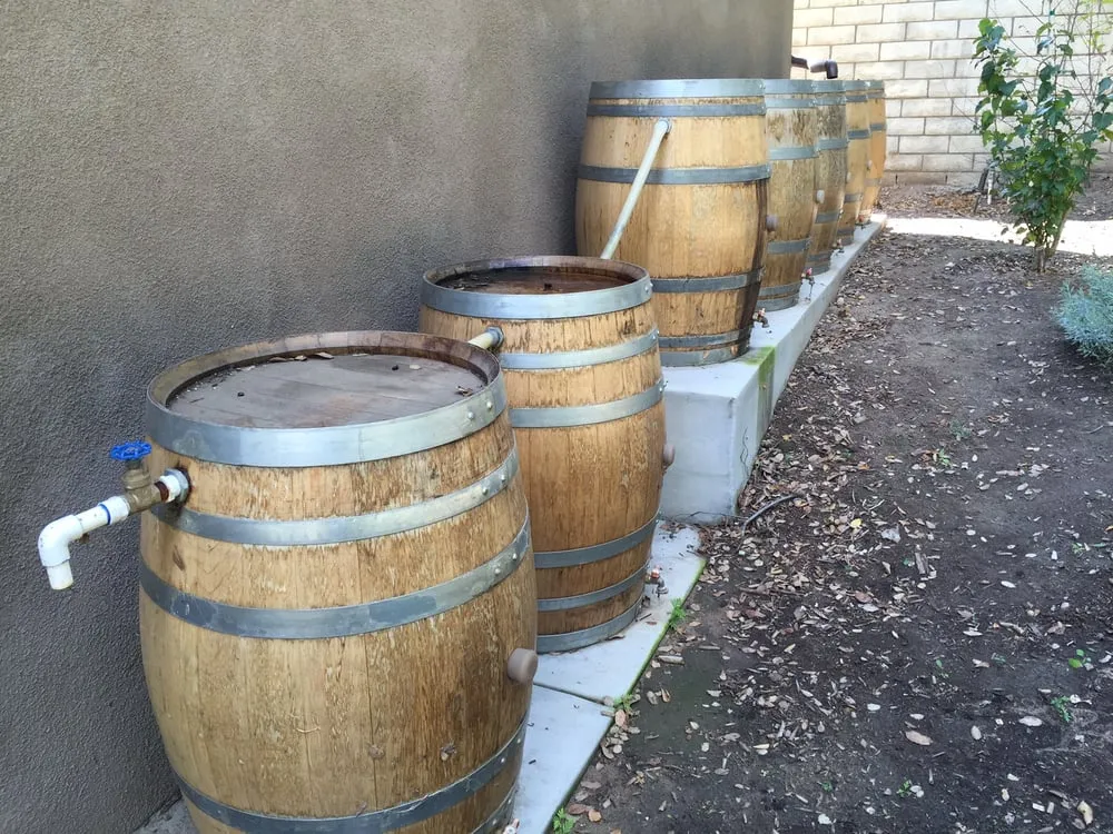 Expert lawn care service for year-round maintenance across Los Angeles, CA - Sustainablethic