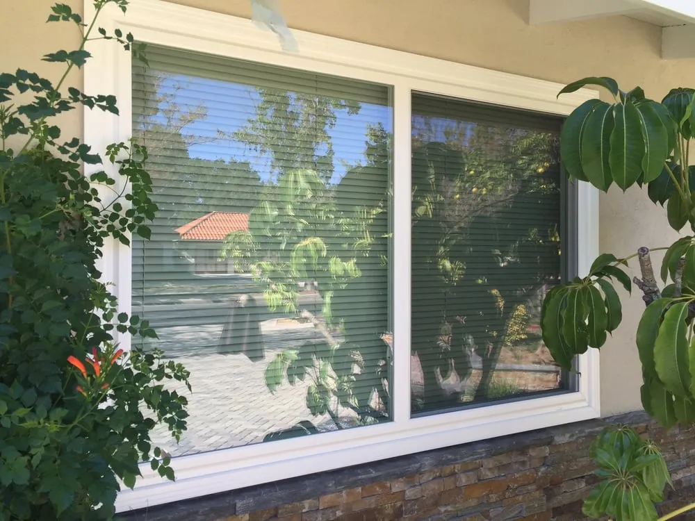 Affordable lawn mowing service for year-round maintenance in Los Angeles, CA by Sustainablethic