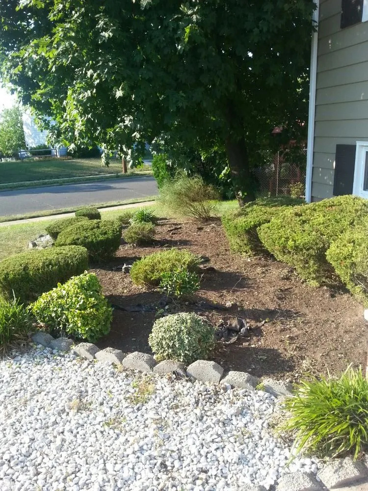 Local yard cleanup service in Mount Laurel, NJ by Sutaun Enterprises