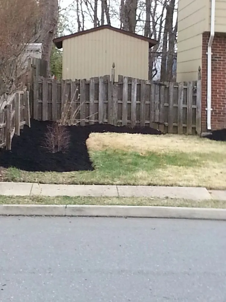 Reliable yard cleanup service experts serving Mount Laurel, NJ - Sutaun Enterprises