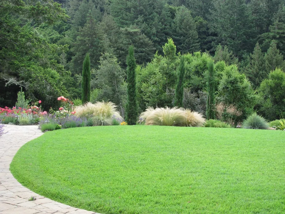 Local lawn mowing service experts serving Capitola, CA - Sutherland Design - Landscape Design