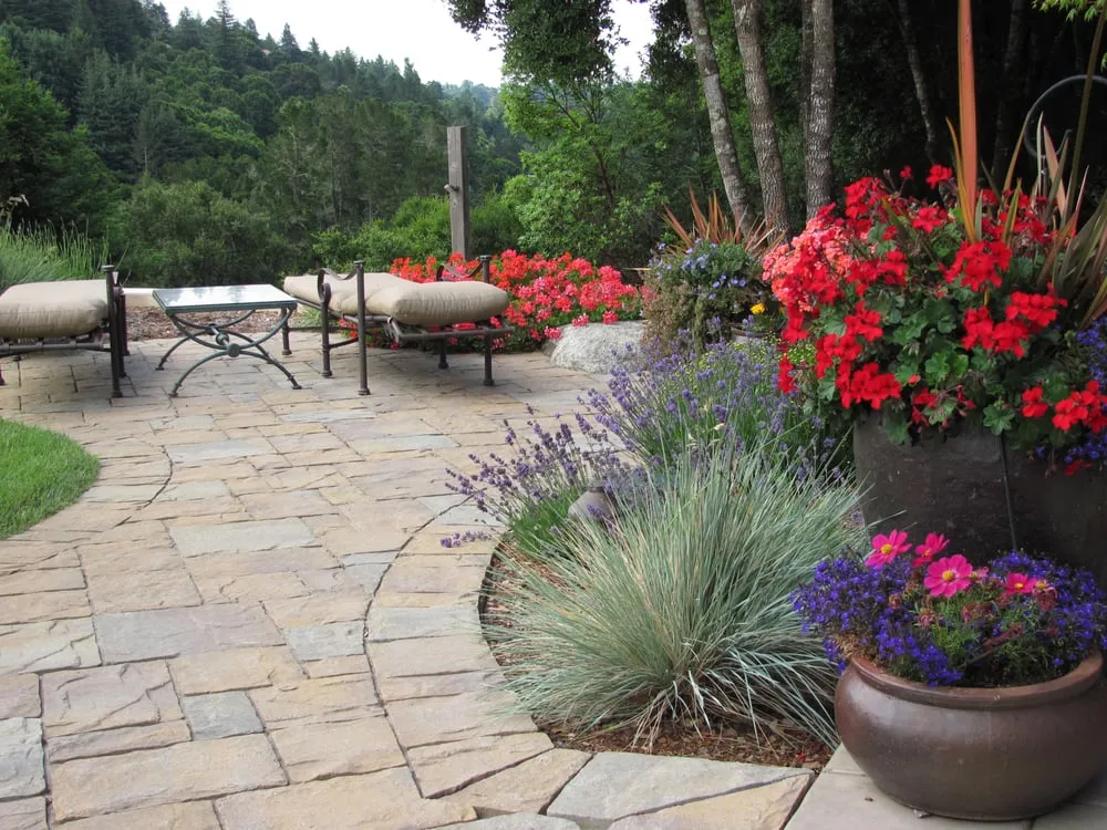 Custom yard maintenance in Capitola, CA - Sutherland Design - Landscape Design