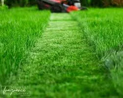 Professional residential landscaping in Abbeville, SC - Sutherland's House & Lawn Services