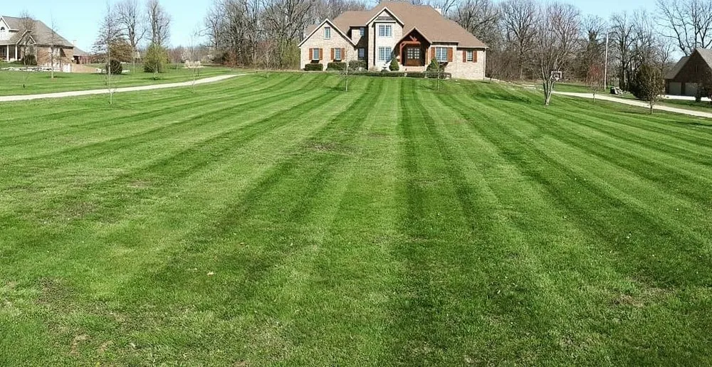 Professional landscape installation for outdoor upgrades in Marshfield, MO by SutherLANDscape Lawn Services