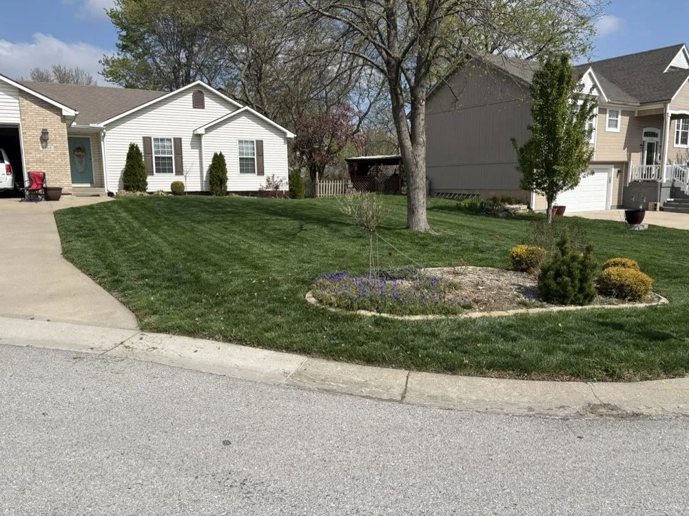 Affordable lawn care service in GRAIN VALLEY, MO - Sutliffe Home and Lawn