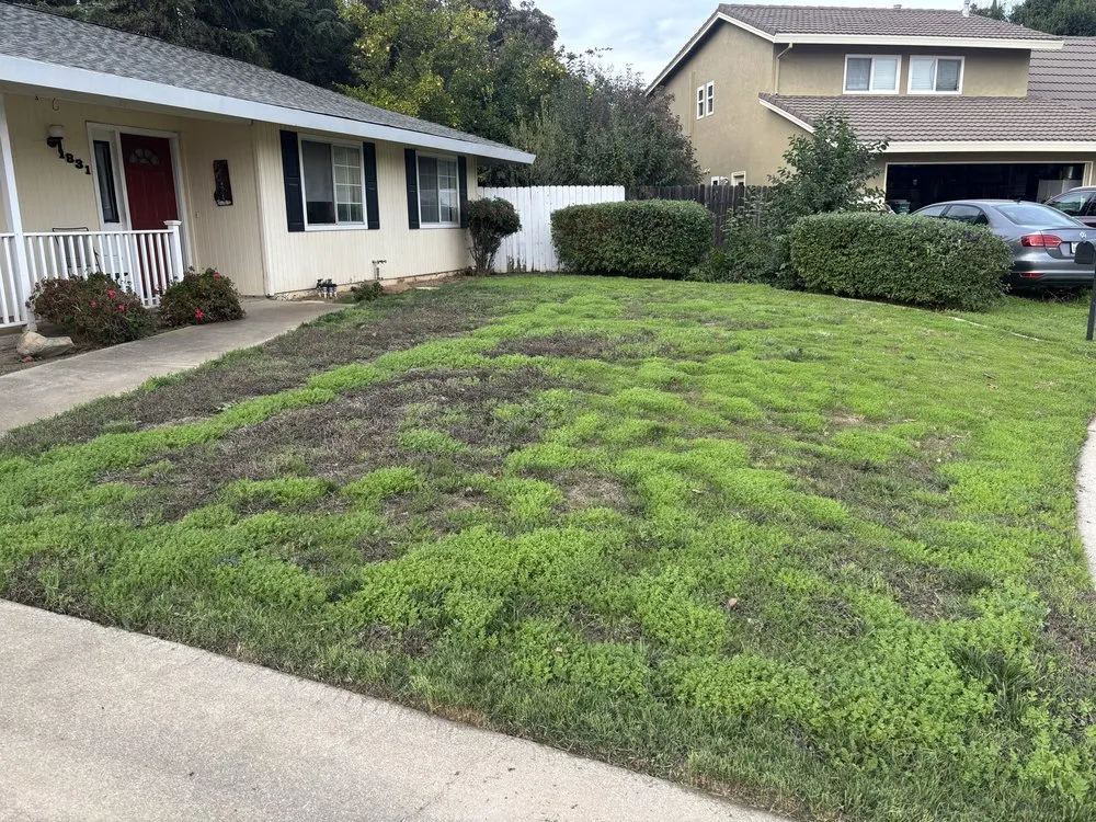 Local lawn mowing service in Yuba City, CA - Sutter Valley Lawn Service