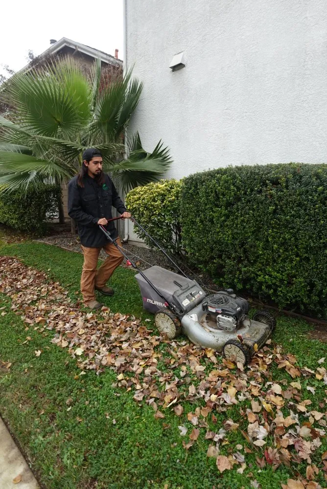 Professional landscape installation in Yuba City, CA - Sutter Valley Lawn Service