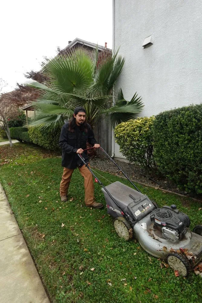 Affordable landscape installation experts serving Yuba City, CA - Sutter Valley Lawn Service