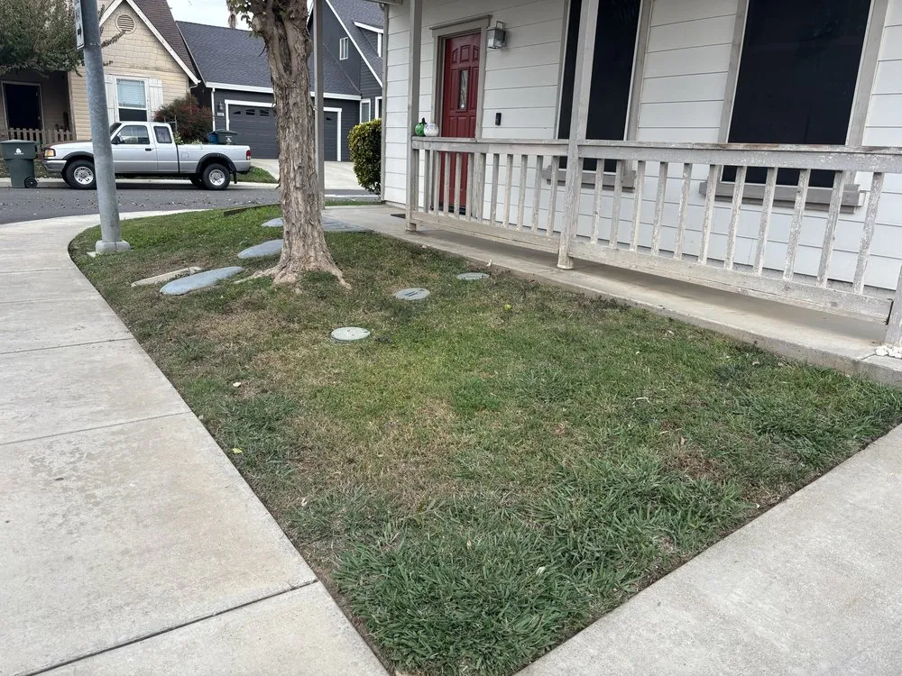 Local lawn care service for year-round maintenance across Yuba City, CA - Sutter Valley Lawn Service