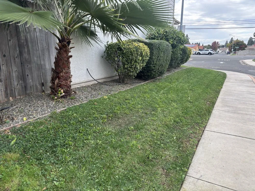 Affordable residential landscaping for homes in Yuba City, CA by Sutter Valley Lawn Service