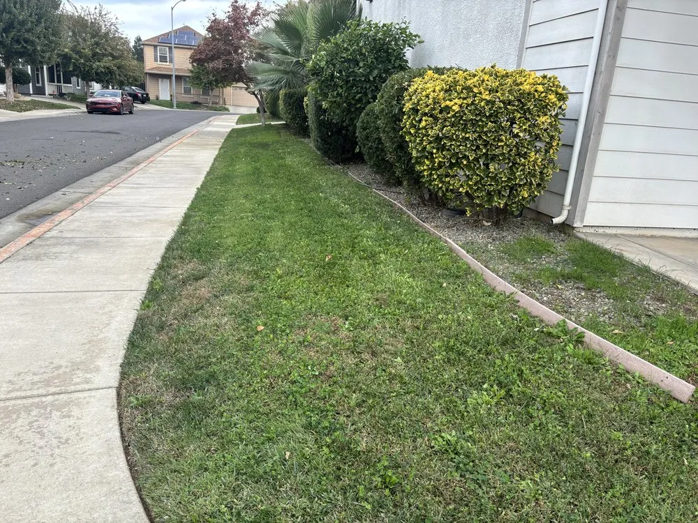 Affordable lawn mowing service experts serving Yuba City, CA - Sutter Valley Lawn Service