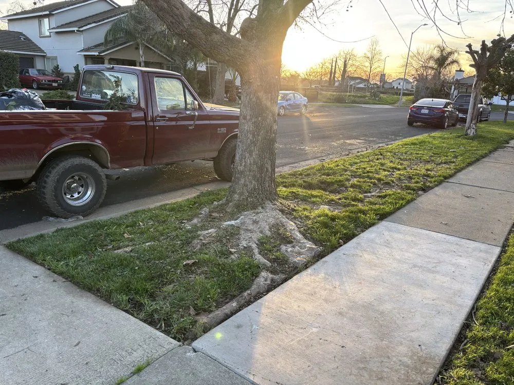 Affordable landscaping services for homes across Yuba City, CA - Sutter Valley Lawn Service