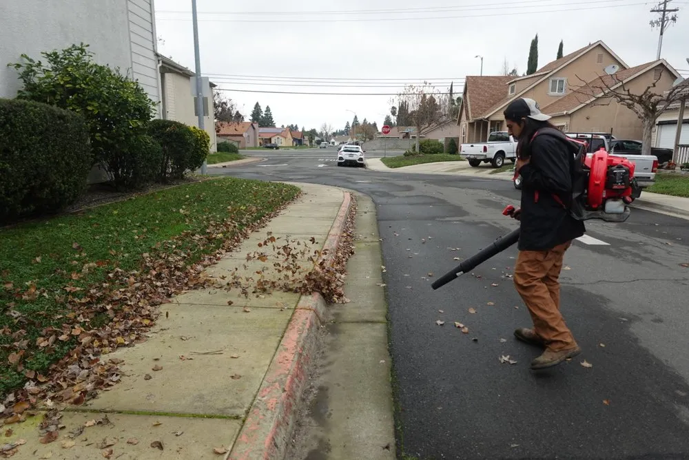 Expert landscape design in Yuba City, CA by Sutter Valley Lawn Service