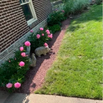 Expert landscaping services for outdoor upgrades across Barto, PA - Sutterby Sustainable Landscapes