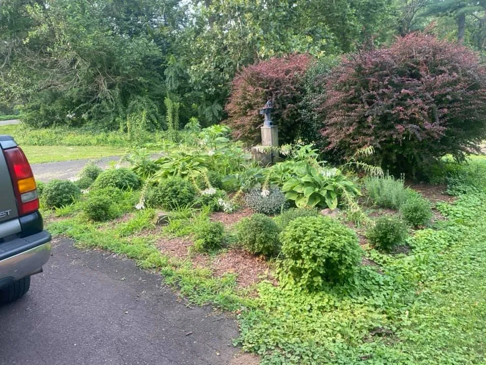 Reliable landscaping services with custom design across Barto, PA - Sutterby Sustainable Landscapes