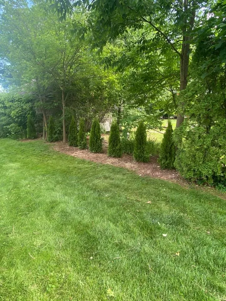 Professional yard maintenance near you across Barto, PA - Sutterby Sustainable Landscapes