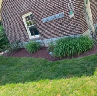 Affordable garden landscaping for outdoor upgrades across Barto, PA - Sutterby Sustainable Landscapes