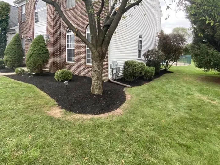 Expert outdoor landscaping in Barto, PA by Sutterby Sustainable Landscapes