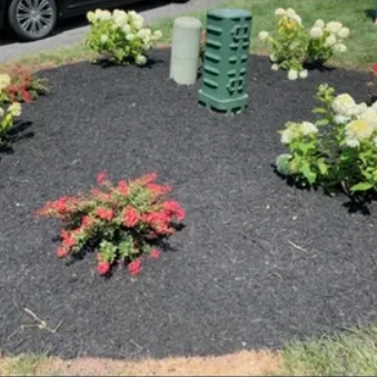 Custom landscape design for year-round maintenance in Barto, PA by Sutterby Sustainable Landscapes