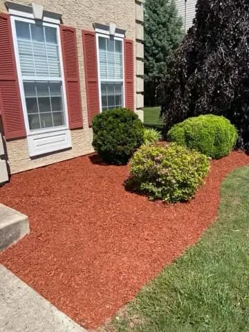 Affordable landscaping services experts serving Barto, PA - Sutterby Sustainable Landscapes