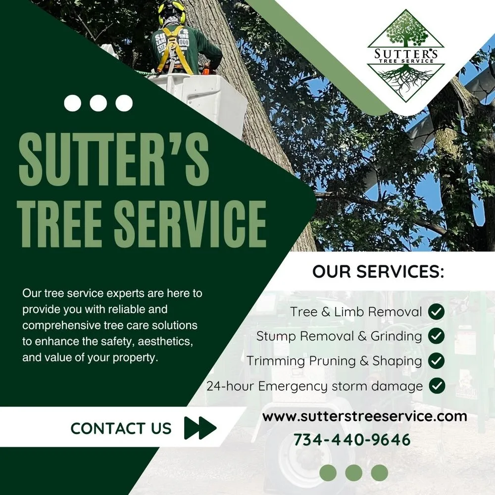 Reliable landscape design in Taylor, MI by Sutter's Tree Service