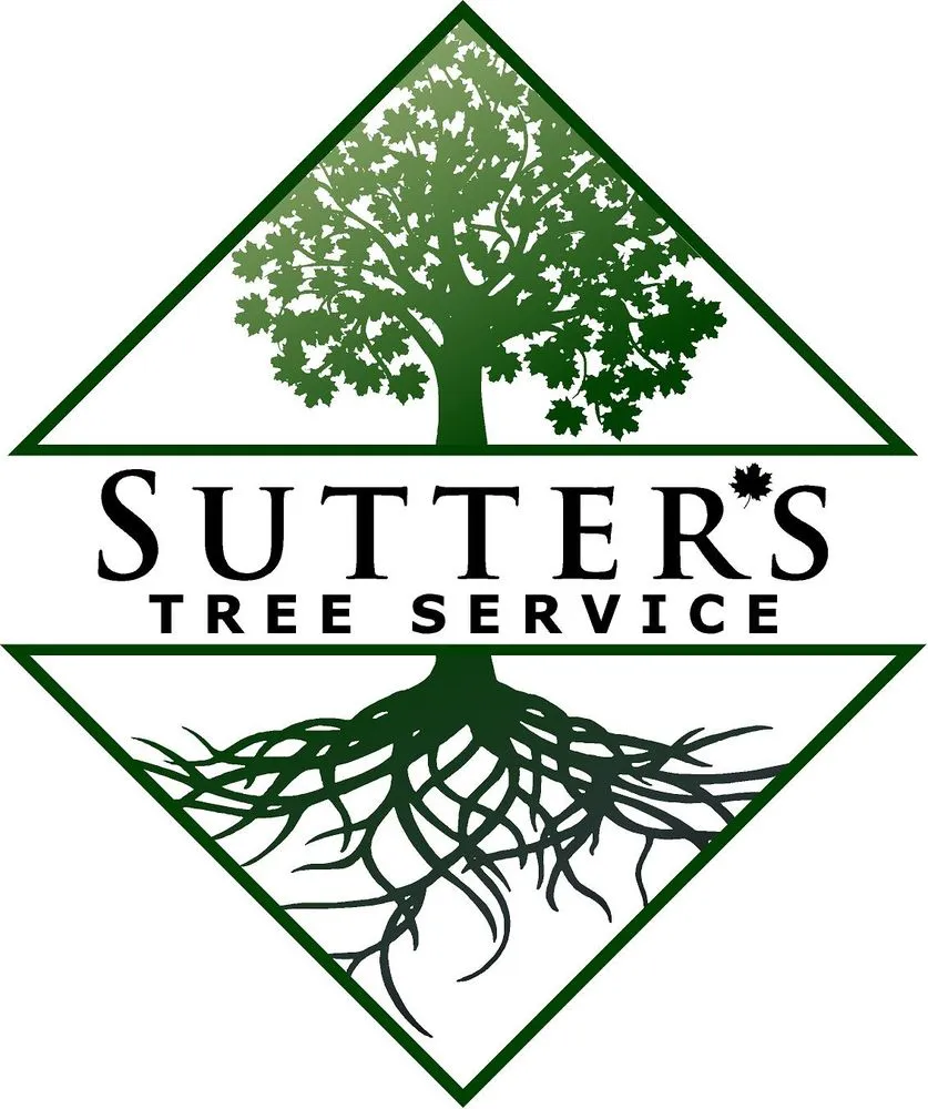 Trusted yard cleanup service experts serving Taylor, MI - Sutter's Tree Service