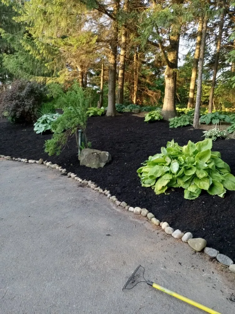 Trusted yard cleanup service experts serving Madison, NY - Sutton Landscape