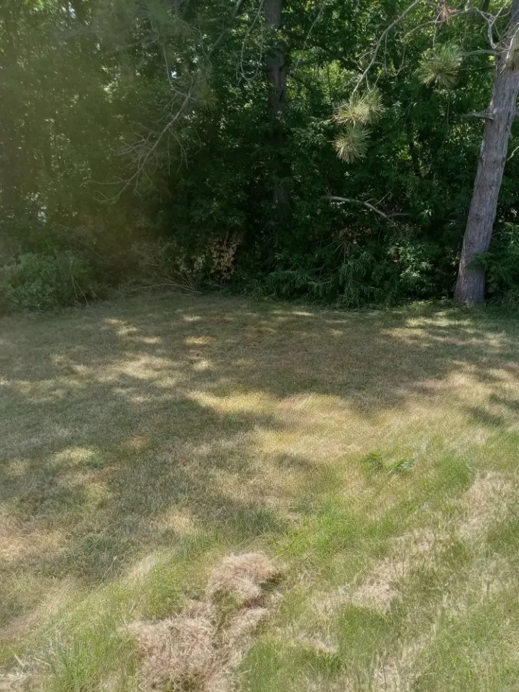 Affordable landscaping services for outdoor upgrades across Madison, NY - Sutton Landscape