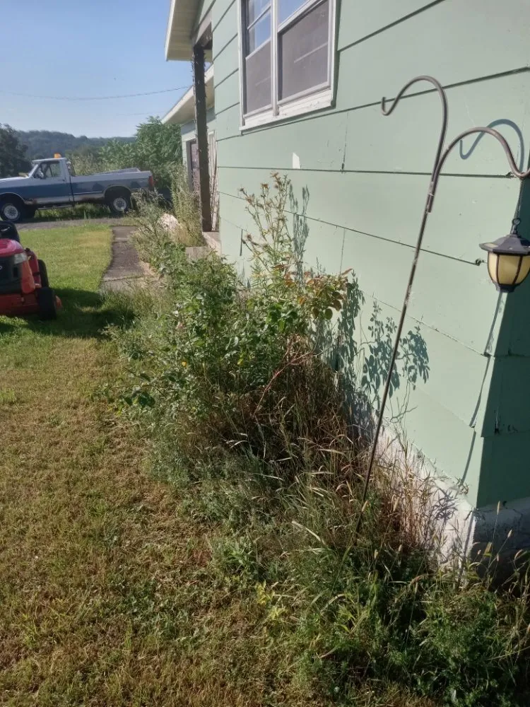 Trusted residential landscaping for year-round maintenance across Madison, NY - Sutton Landscape