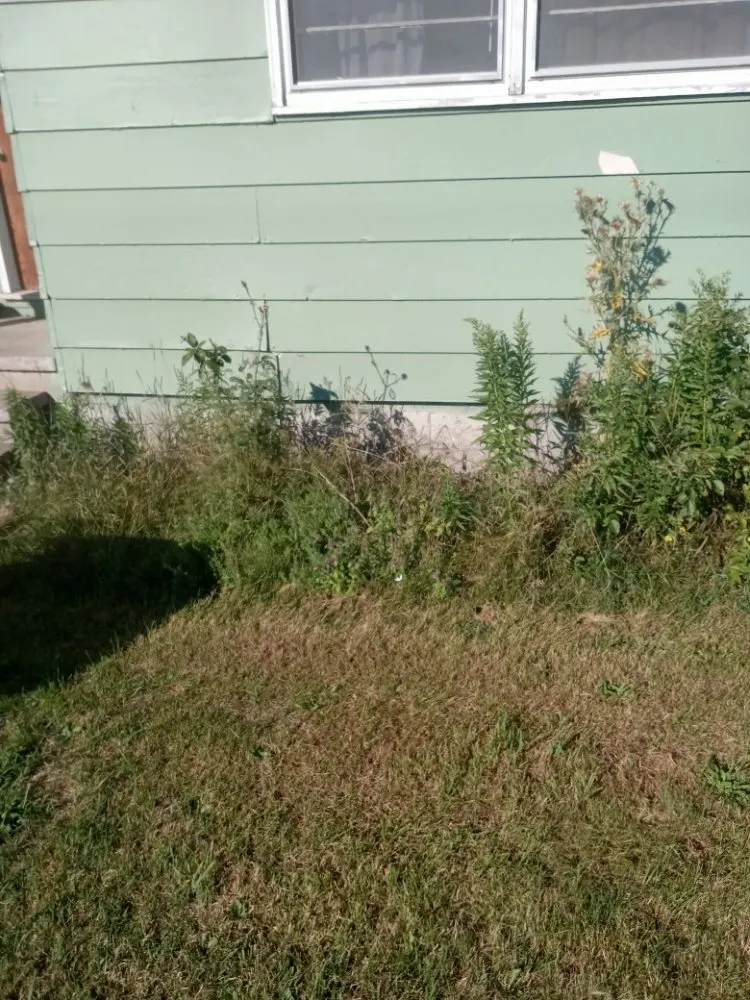 Local lawn care service for residential properties across Madison, NY - Sutton Landscape