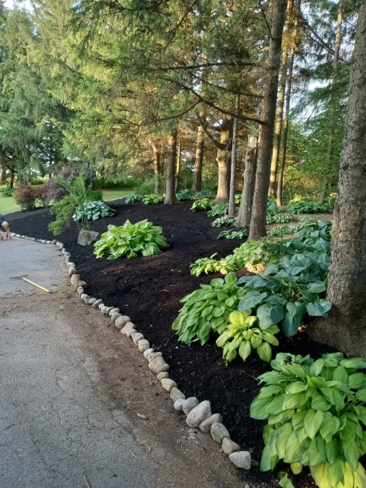 Trusted landscaping services for residential properties across Madison, NY - Sutton Landscape