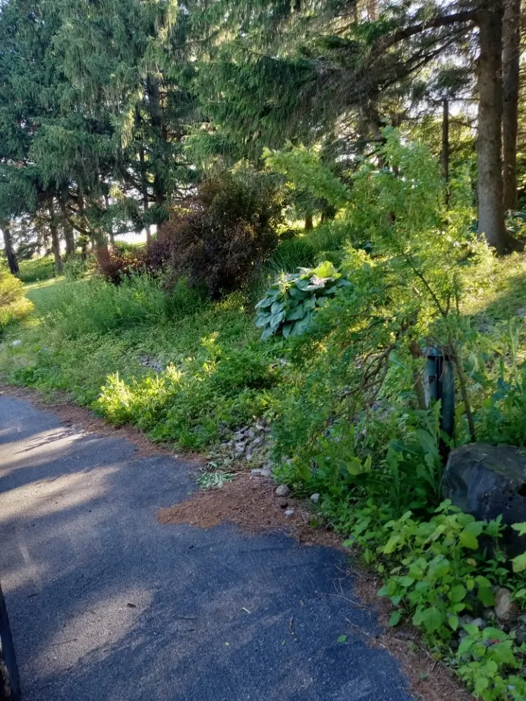 Affordable landscaping services in Madison, NY by Sutton Landscape