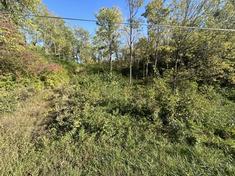 Professional lawn mowing service in Edwardsville, KS - Sutton Landworks