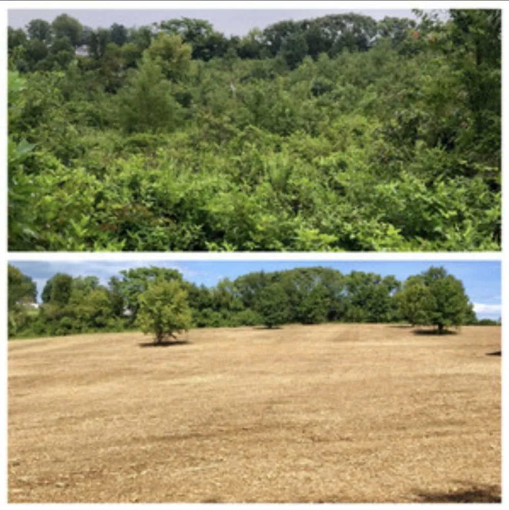 Affordable residential landscaping in Edwardsville, KS - Sutton Landworks