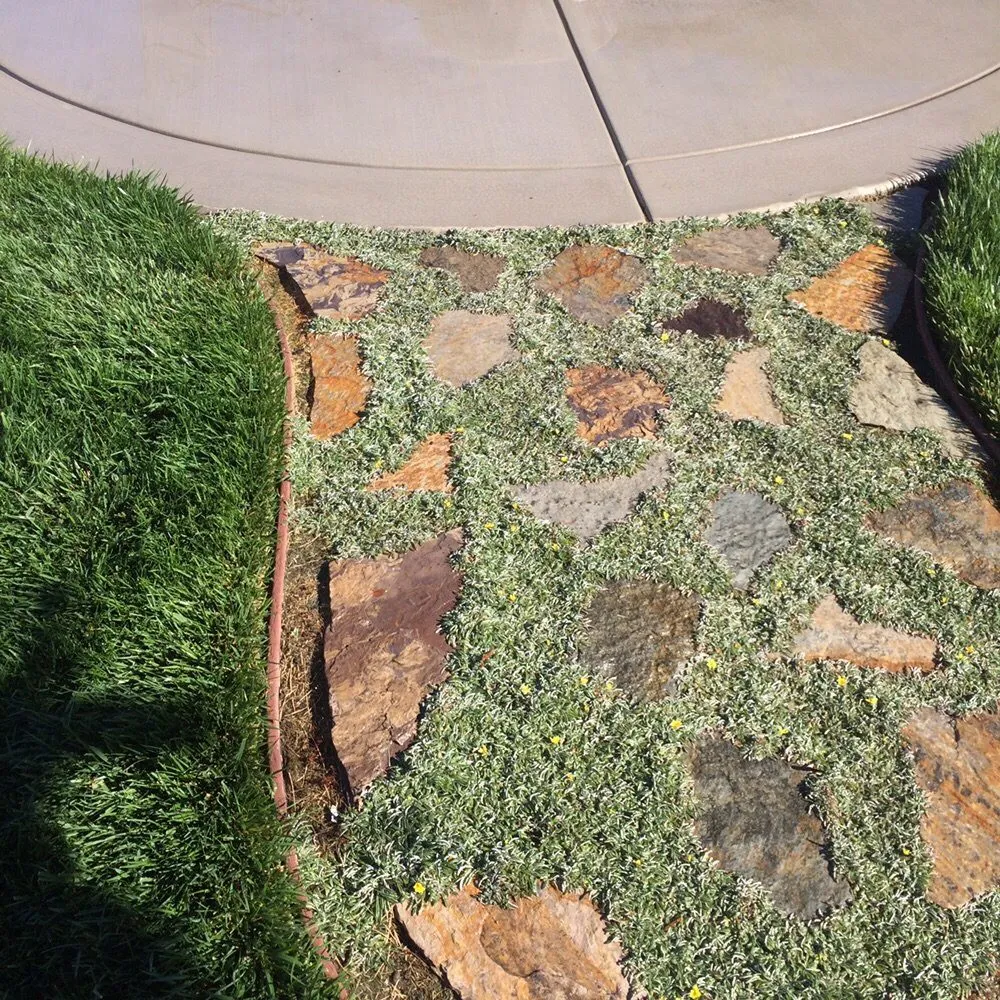 Trusted outdoor landscaping experts serving Manteca, CA - Sutton's Landscape & Maintenance