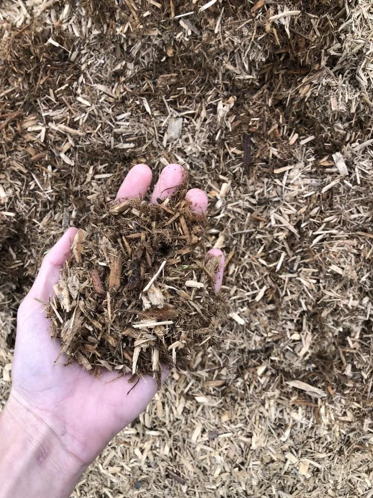 Trusted outdoor landscaping for homes across New Bern, NC - Sutton’s Landscape Supply