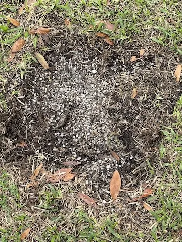 Top-rated lawn mowing service for beautiful yards in Saint Petersburg, FL by Suttrich Landscape Services