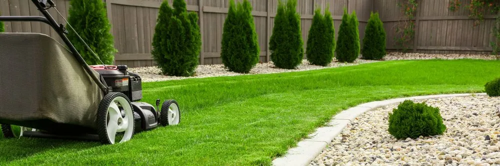 Professional lawn care service experts serving Salinas, CA - SUV Budget Landscape Service
