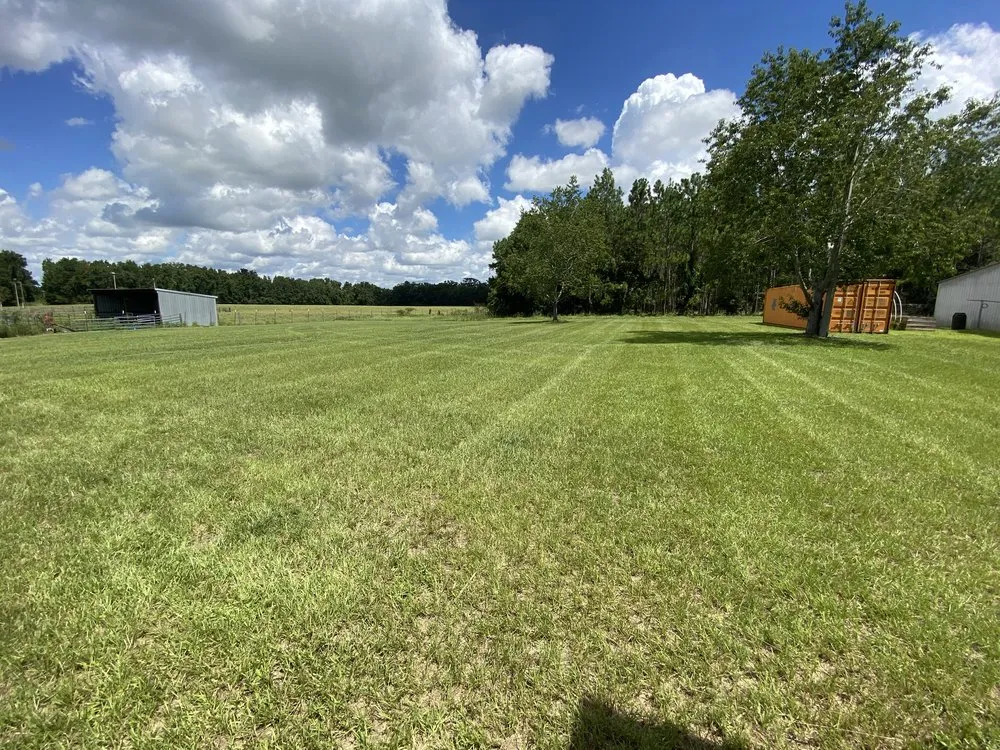 Reliable yard cleanup service in Old Town, FL by Suwannee River Mow Company