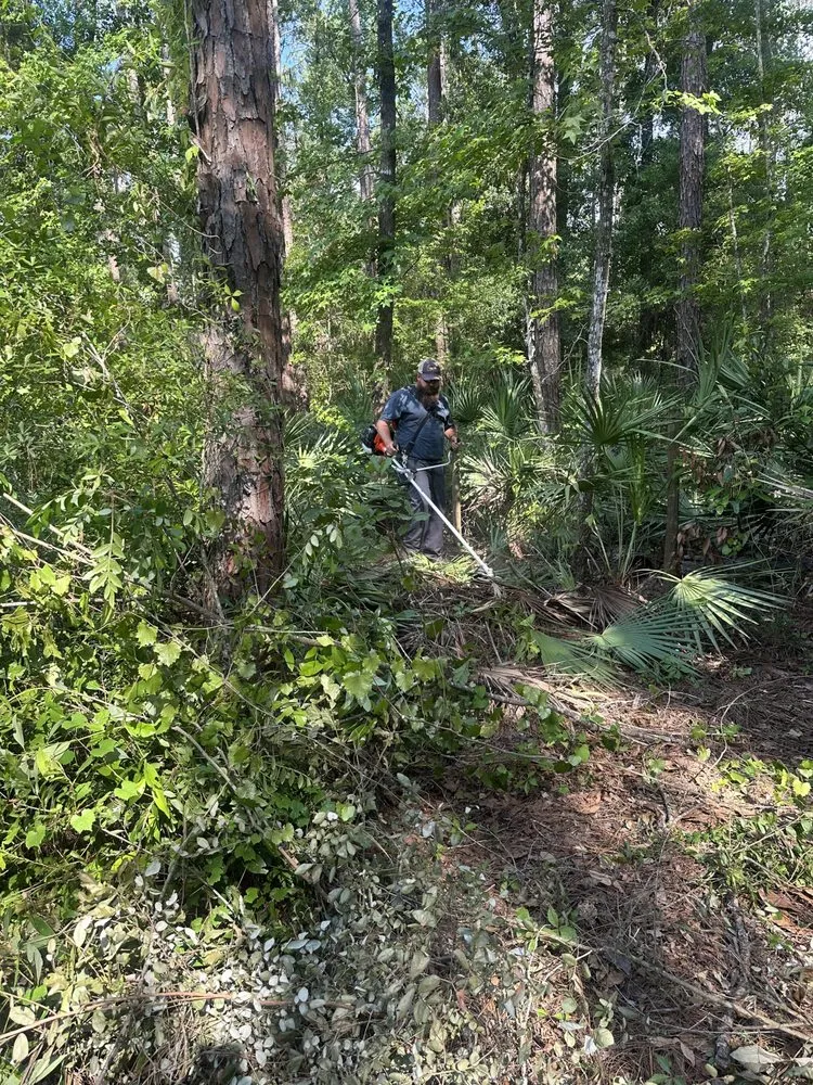 Trusted lawn care service in Old Town, FL - Suwannee River Mow Company