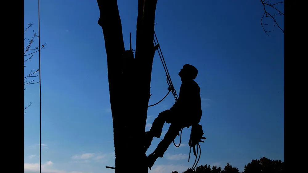 Reliable residential landscaping with custom design in Grandview, TX by SV Gat's Construction