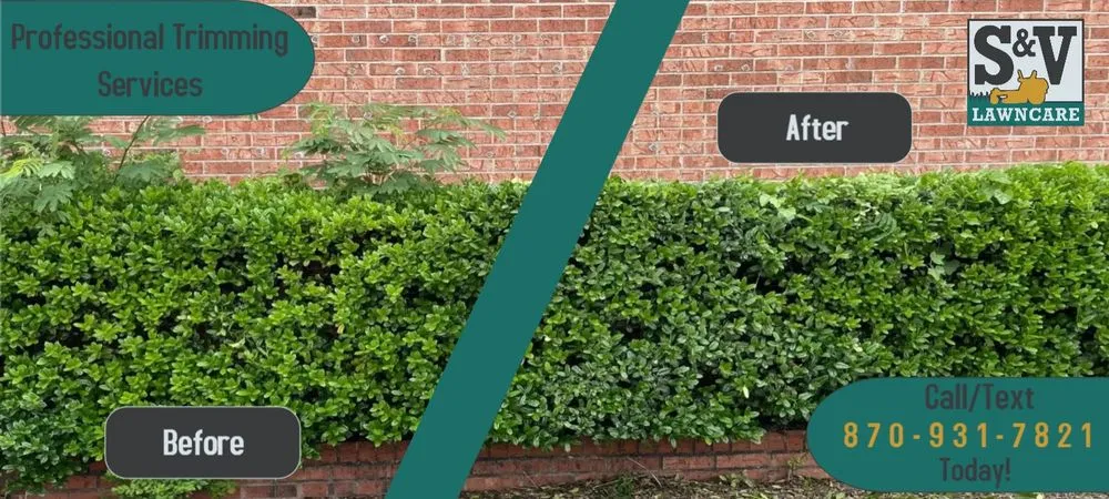 Reliable lawn care service in Jonesboro, AR - S&V Lawncare