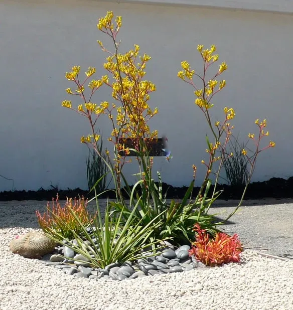 Top-rated lawn care service experts serving Santa Monica, CA - SVA Home and Garden