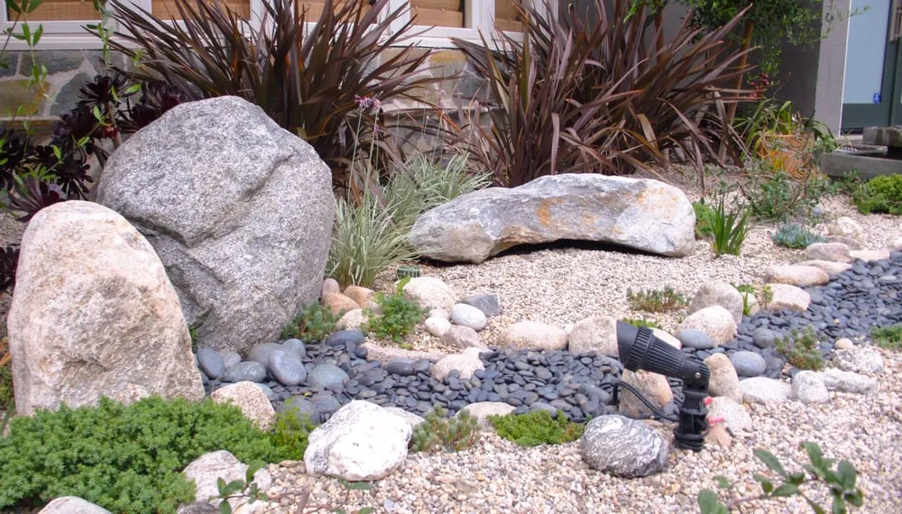 Professional yard cleanup service experts serving Santa Monica, CA - SVA Home and Garden