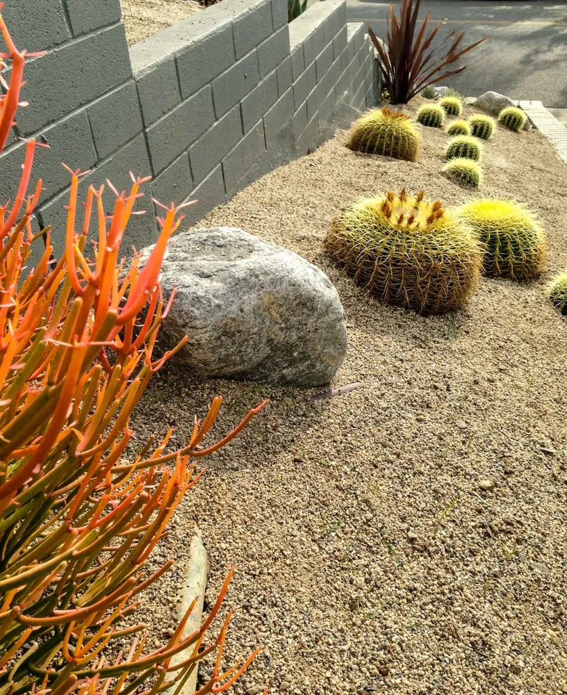 Local yard cleanup service with custom design in Santa Monica, CA by SVA Home and Garden